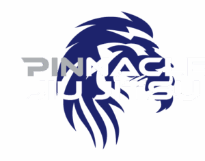 Pinnacle Jiu Jitsu Main Business Logo